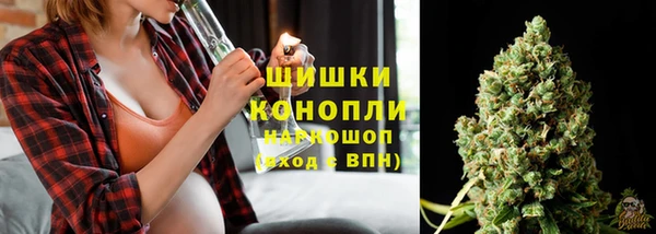 ГАЛЛЮЦИНОГЕННЫЕ ГРИБЫ Алексеевка