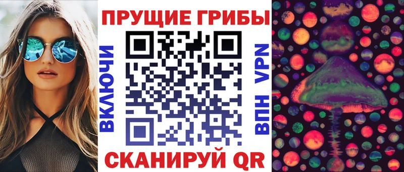 это официальный сайт закладка omg зеркало Владивосток Псилоцибиновые грибы MAGIC MUSHROOMS
