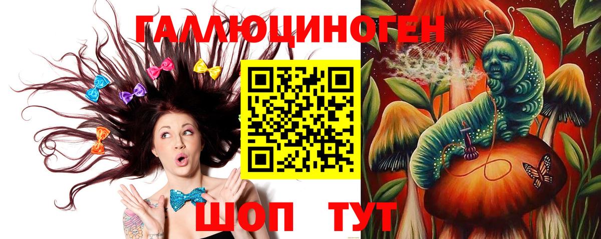 Псилоцибиновые грибы Psilocybe  Вход с VPN  купить  сайты  Владивосток 